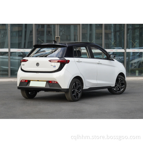 RHD Young Guangxioxin 2023 EV Mini Electric Electr